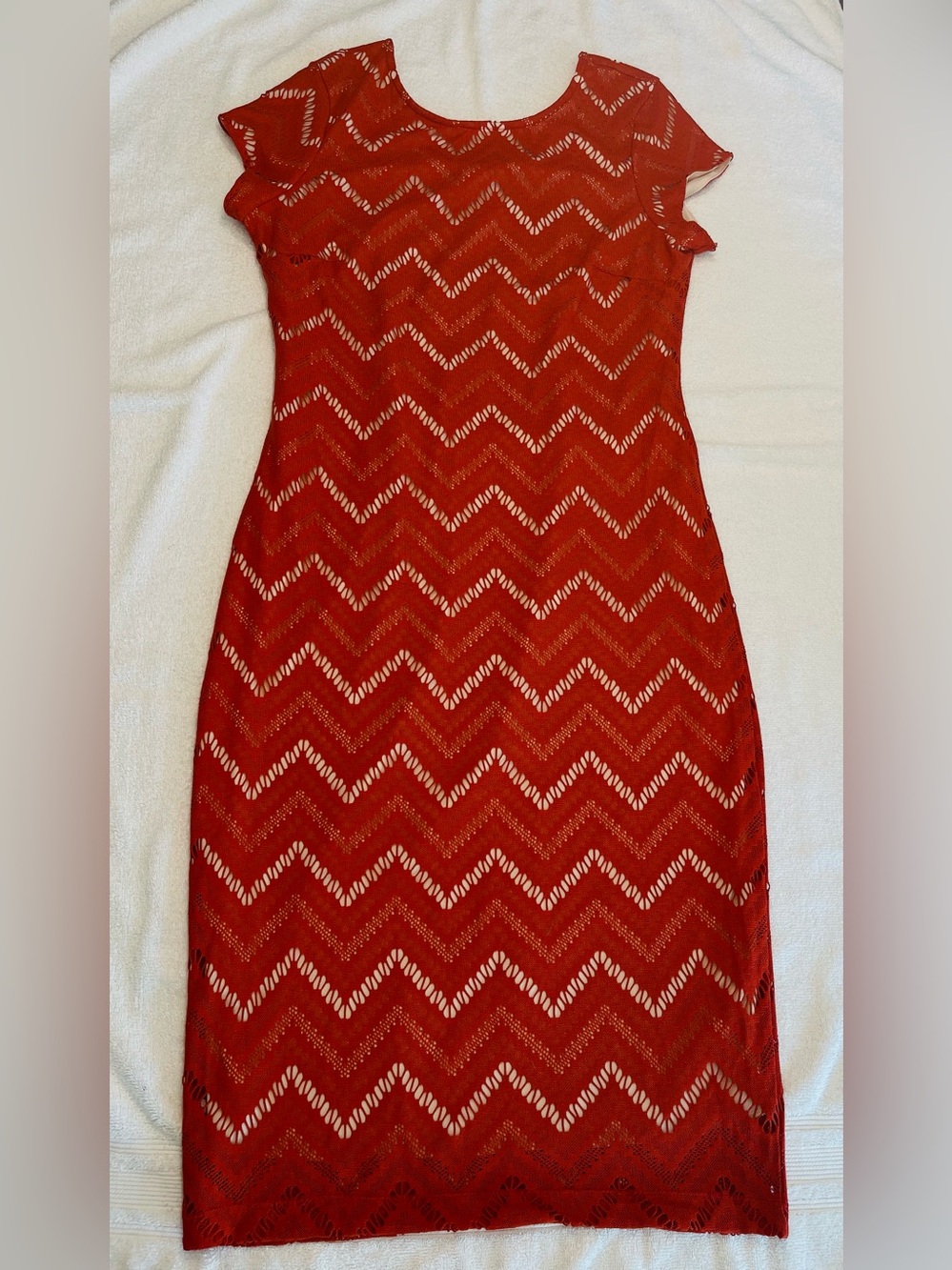 NWOT Cocomo Rusty Orange Chevron Lace Sheath Dress | Size Large (NWOT)